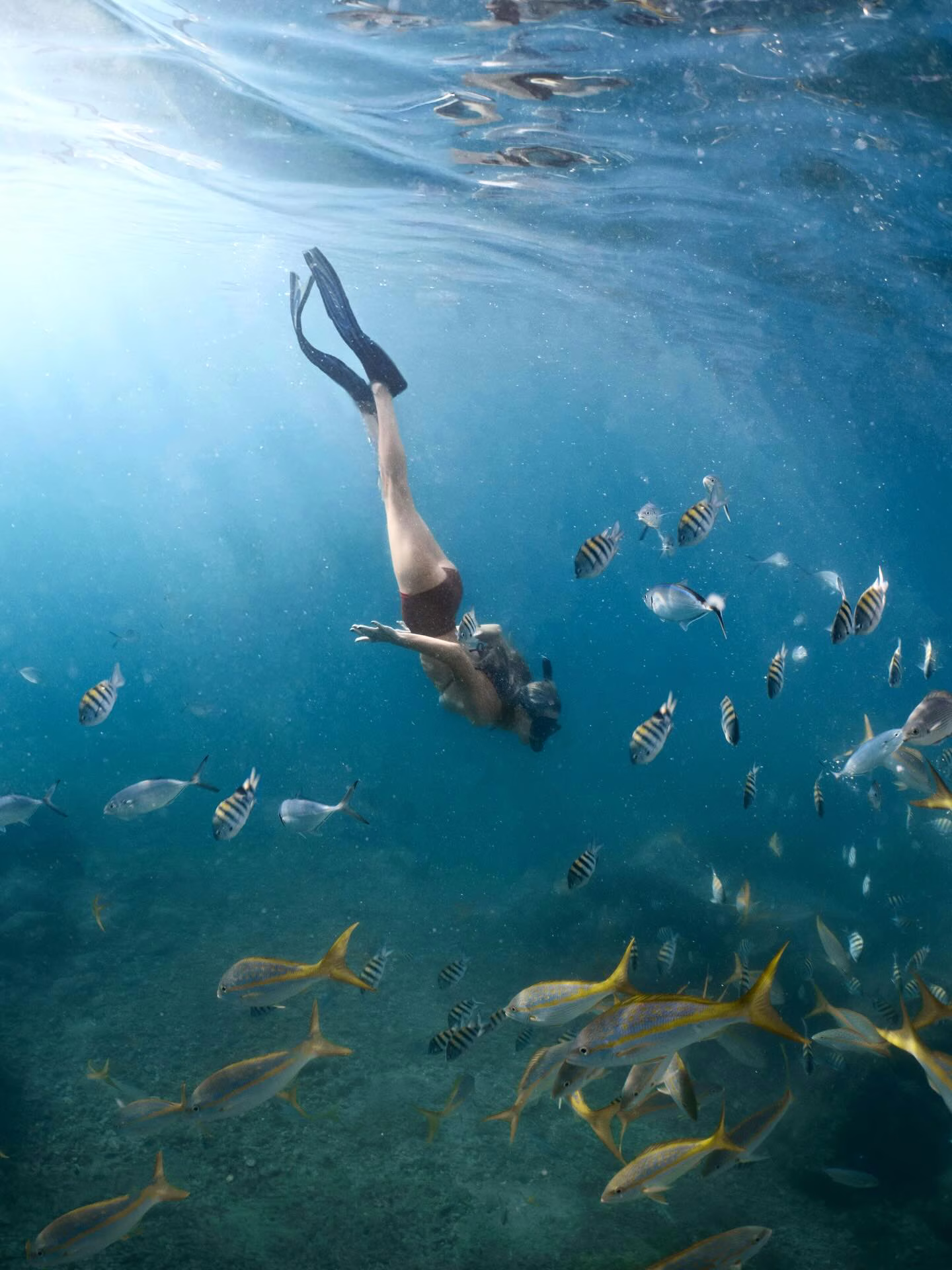 Bella Hadid défilé Fashion Week