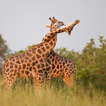 Binx Walton - Photo 5