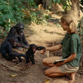 Carolyn Murphy - Photo 3