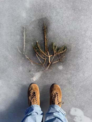 Hoyeon Jung - Photo 12