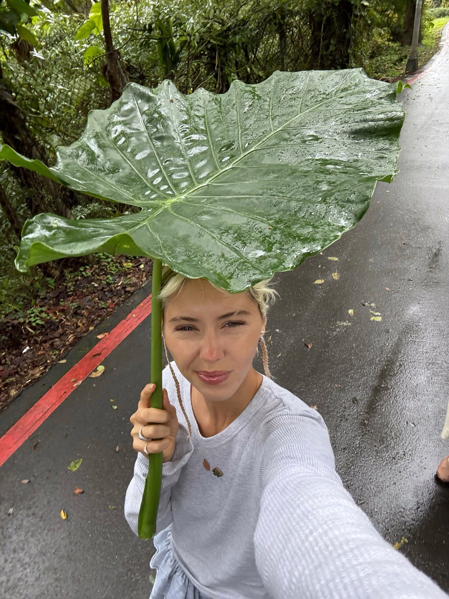 Iris Law défilé mode haute couture